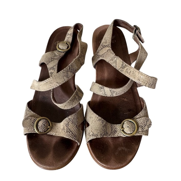 Dansko Julie Sandal Snakeskin Leather Buckle Straps Block Heel Size 8.5-9 EUR 39 - Picture 1 of 8